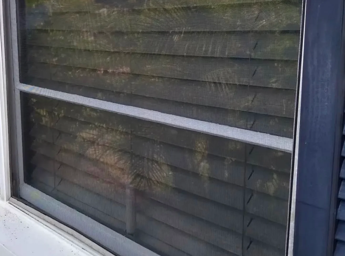 Window-Screens.webp