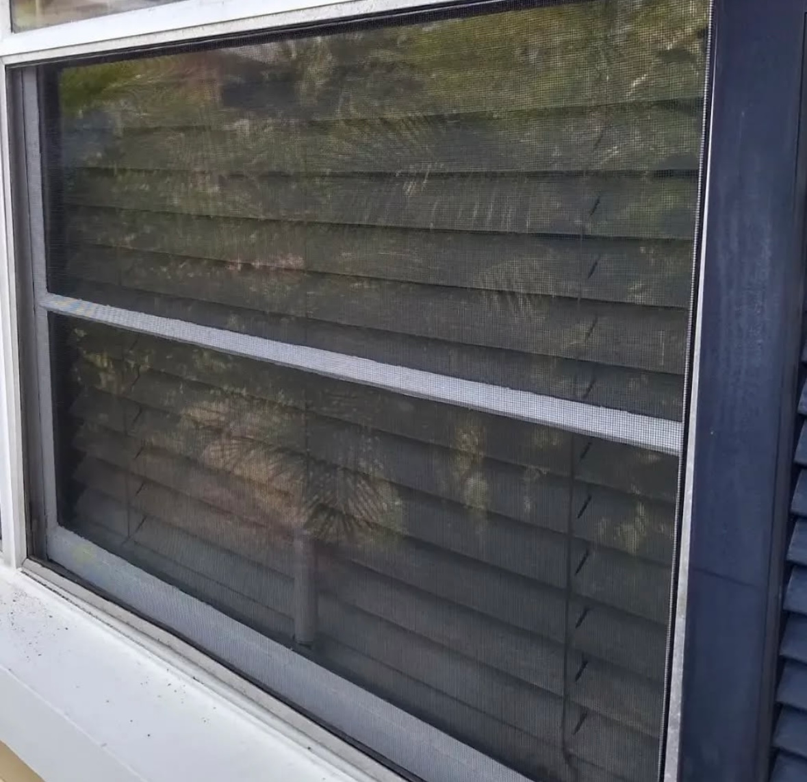 Window Screens